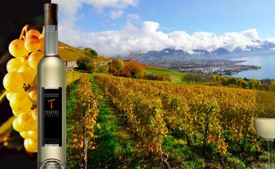Domaine de la Toveyre